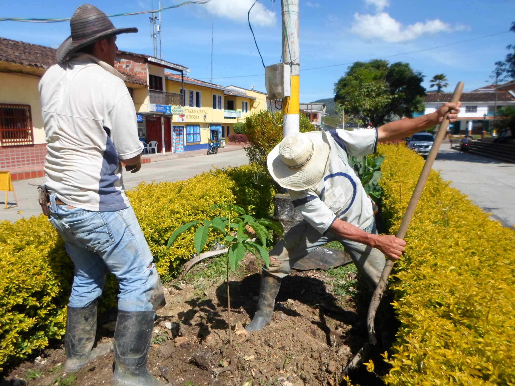 M�S SOMBRA PARA NUESTRO PARQUE